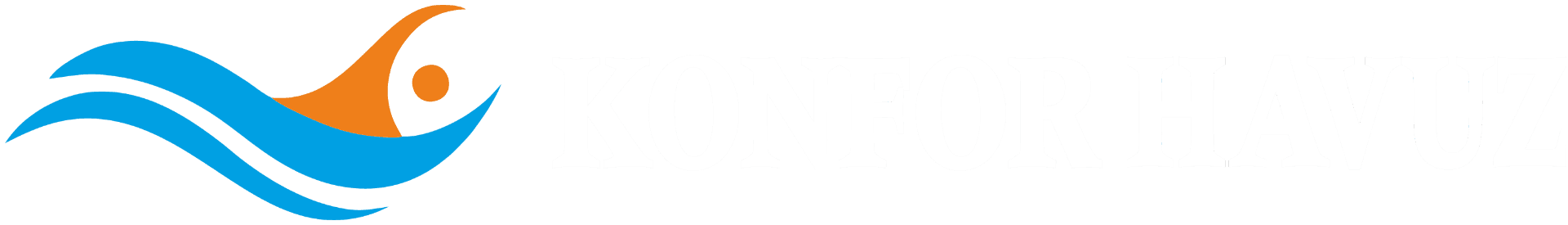 Konfor Havuz